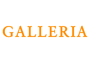 Galleria black background with orange letters - Daylight Specialists