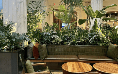 Transformations Achieved Through Strategic Daylighting