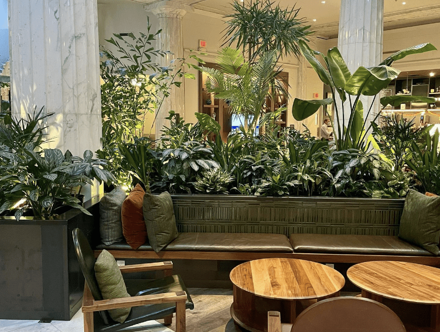Transformations Achieved Through Strategic Daylighting