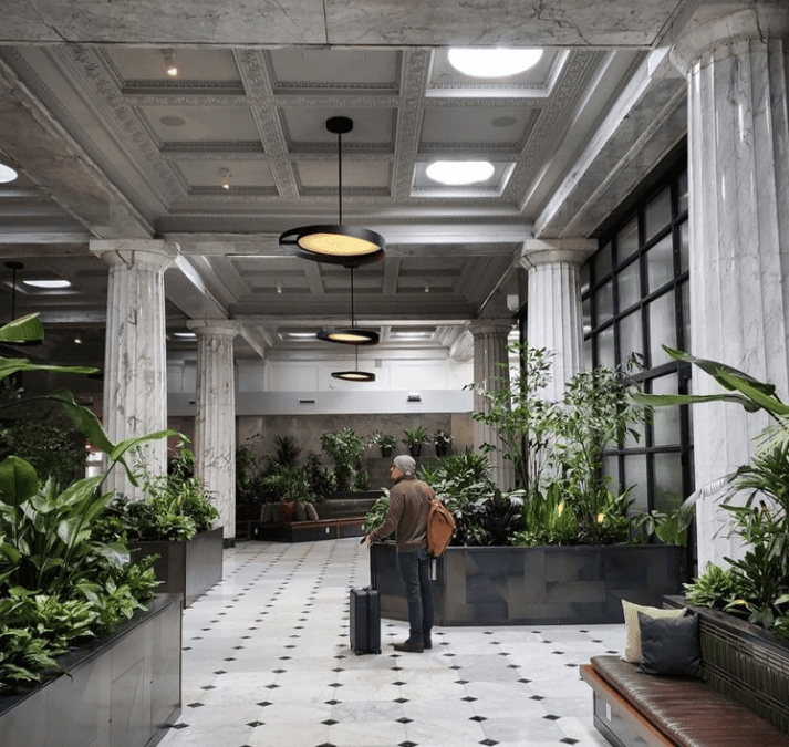 The Role of Daylight in Biophilic Architecture