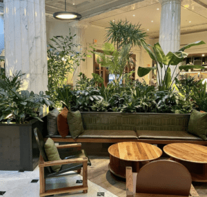 Transformations Achieved Through Strategic Daylighting